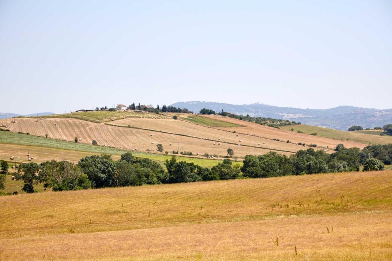 Agriturismo Montecrespini Saturnia Dış mekan fotoğraf